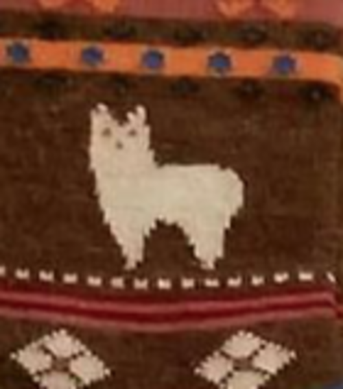 Alpaca Watching Socks