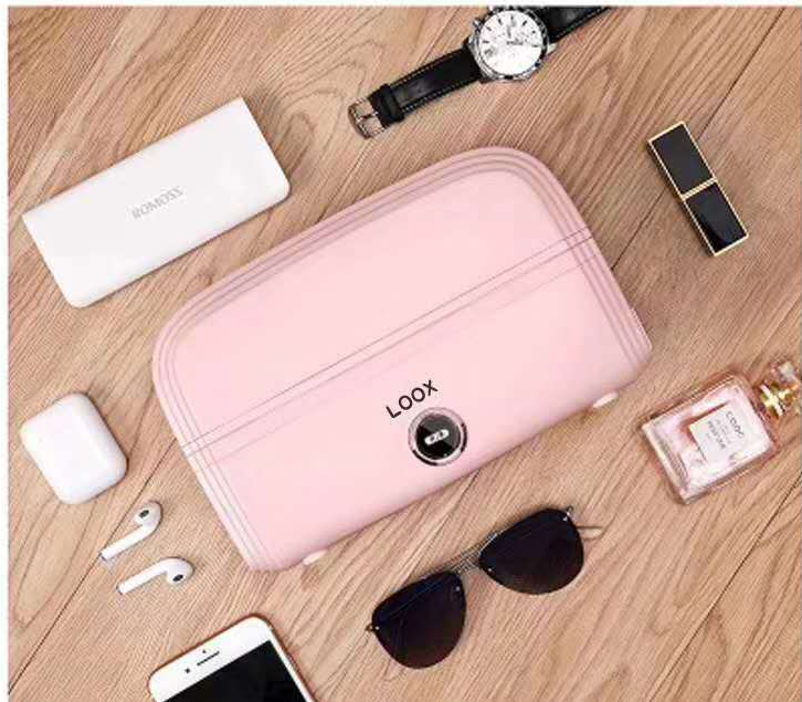 Portable Heated Insulated Lunch Box