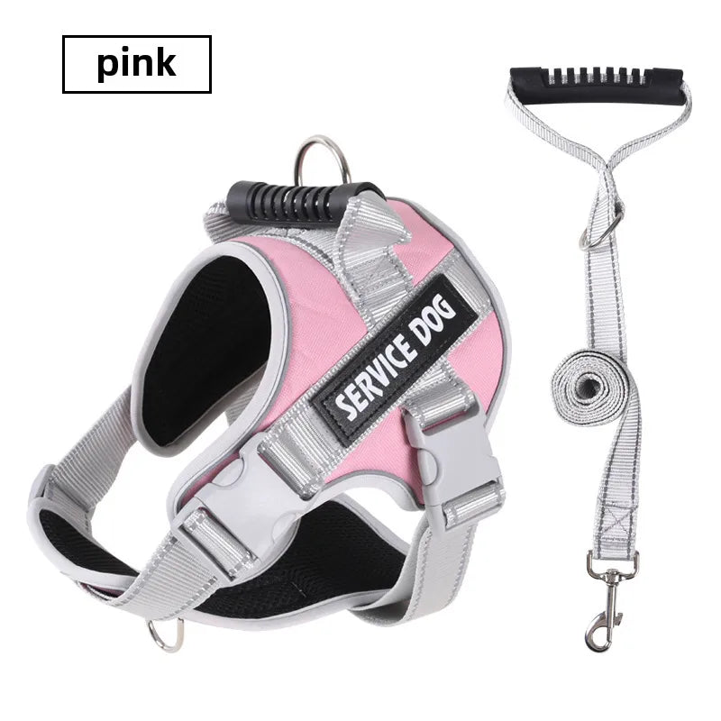 /product/2024/9/15/1835220007865421824.jpg